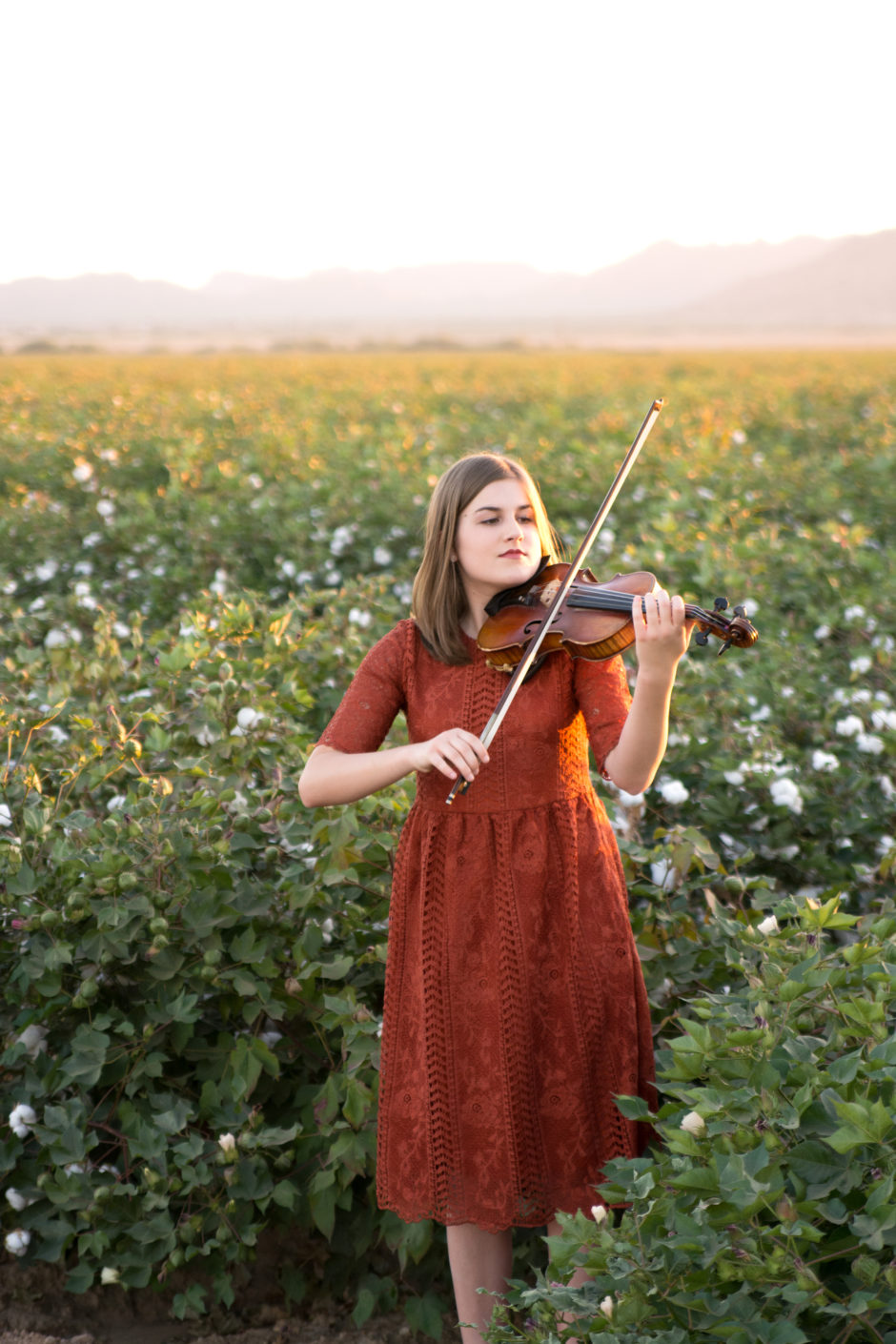 High school senior portrait of girl playing the violin in a cotton field. Photographed by Melissa Maxwell of Jubilee Family Photography in Gilbert, AZ>