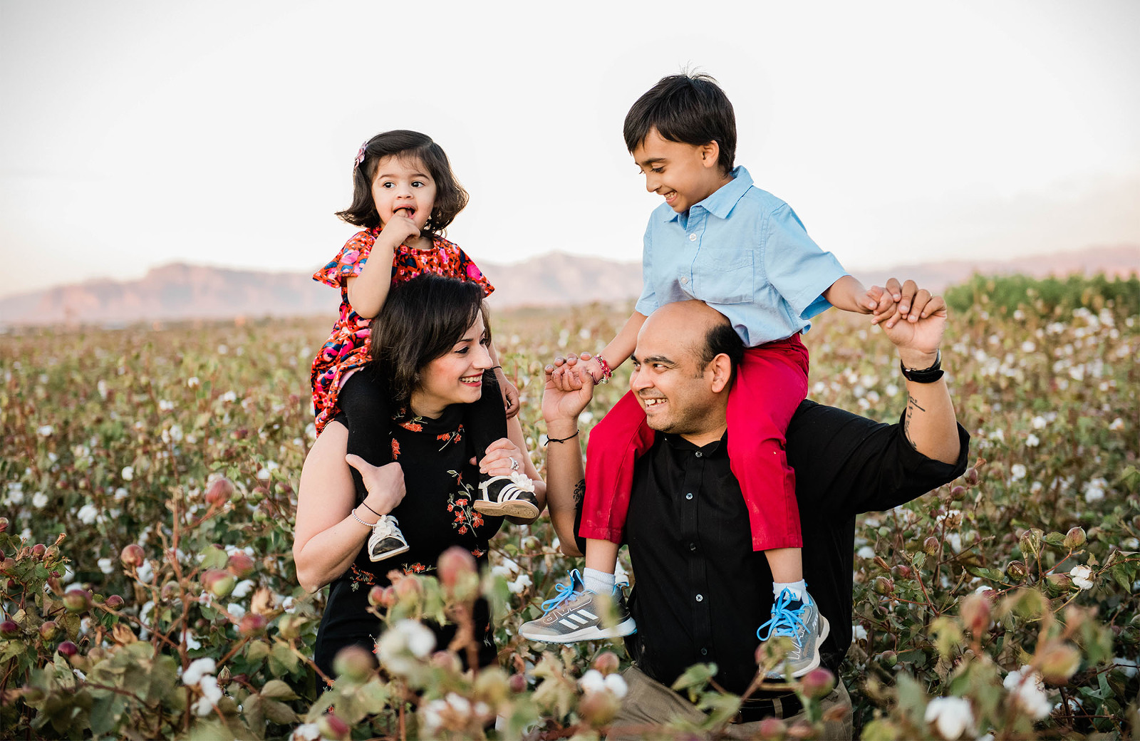 Cotton-field-portraits-Jubilee-Family-Photography